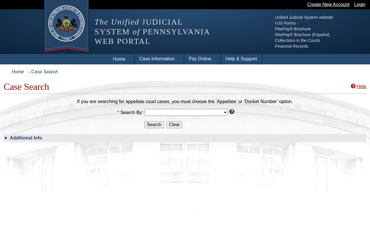 Schuylkill County court record search interface